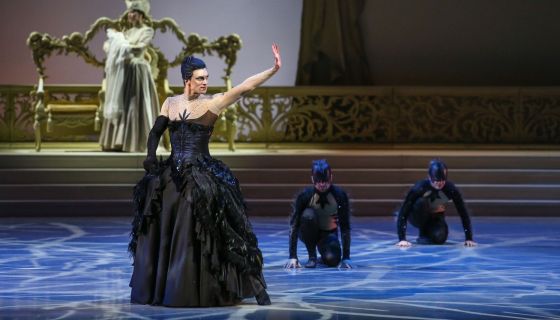 Балет «Спящая красавица»
