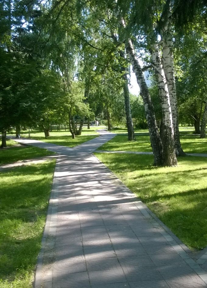 Нарымский оазис