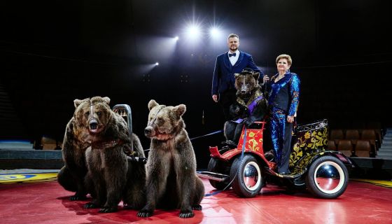 Цирк Филатовых. Шоу «Нашествие медведей»