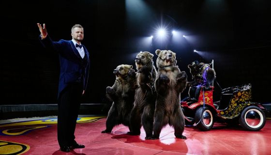 Цирк Филатовых. Шоу «Нашествие медведей»