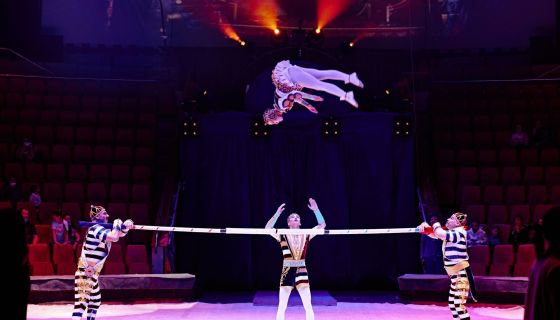 Цирк Филатовых. Шоу «Нашествие медведей»