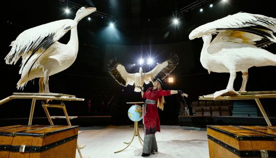 Цирк Филатовых. Шоу «Нашествие медведей»