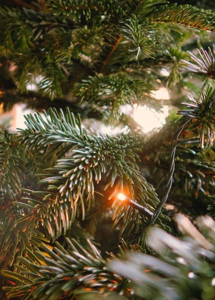 Спектакль «Школа Деда Мороза»