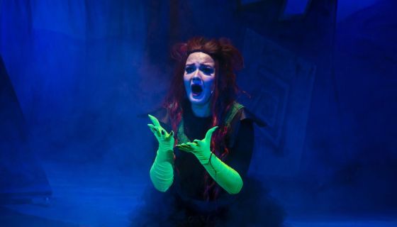 Спектакль «История волшебного леса»