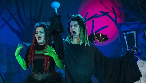 Спектакль «История волшебного леса»