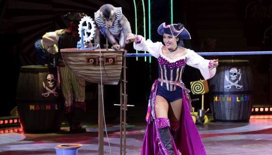 Цирк «Шоу-Вау! Шоколадная сказка»