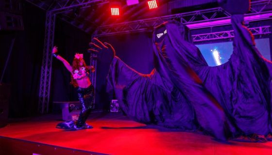 Шоу «Лукоморье»