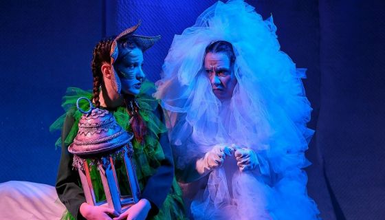 Спектакль «Как ёлочка пингвинёнка искала»