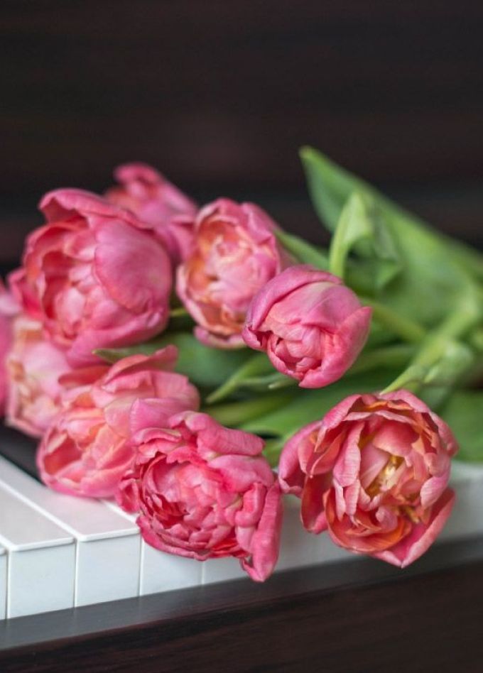 Концерт «Для любимых женщин»