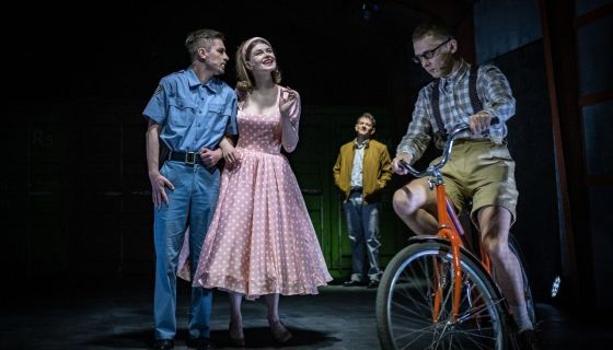 Спектакль «Танцующая в темноте»