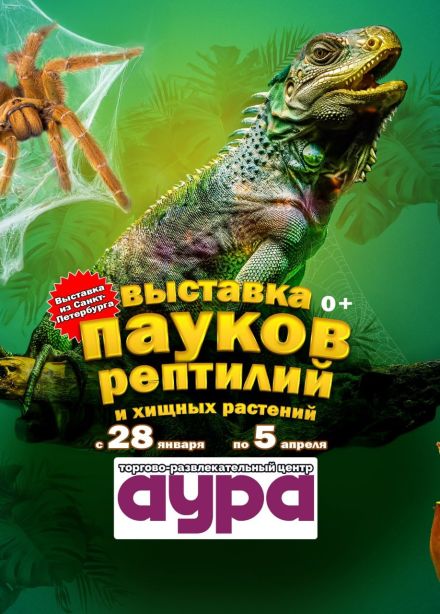 Выставка пауков, рептилий и хищных растений