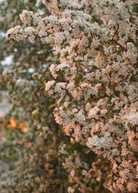 Концерт «Славный май»