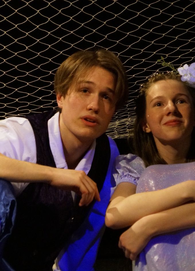 Русалочка. Виноваты звёзды