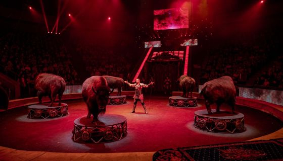 Цирк Гии Эрадзе «Пять континентов»