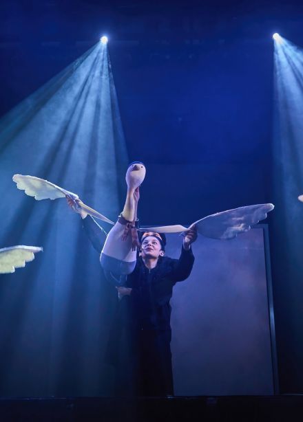 Гадкий утёнок