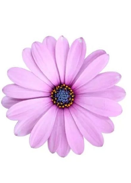 Концерт «Весна в моём городе»