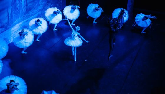 Балет «Лебединое озеро»