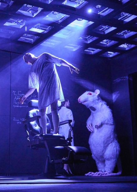 Спектакль «Цветы для Элджернона»