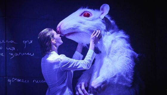 Спектакль «Цветы для Элджернона»