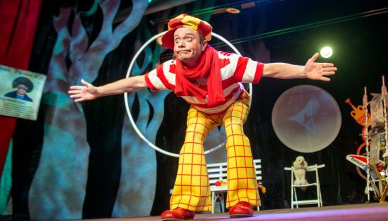 Дмитрий Куклачёв. Котобум