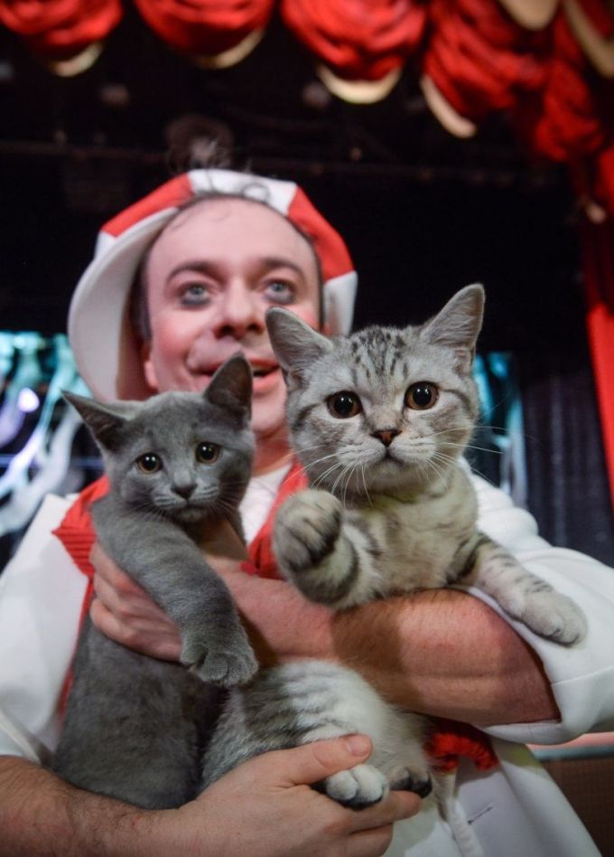 Дмитрий Куклачёв. Котобум