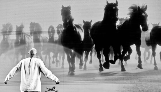 Максим Аверин. Расправь крылья