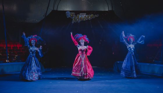 Цирк-шапито «Маска», Искитим