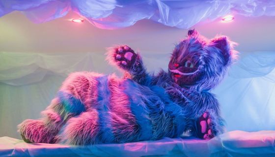 Спектакль «Вниз по кроличьей норе, или Приключения Алисы»